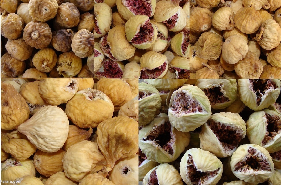 Dried Fig Fruit
