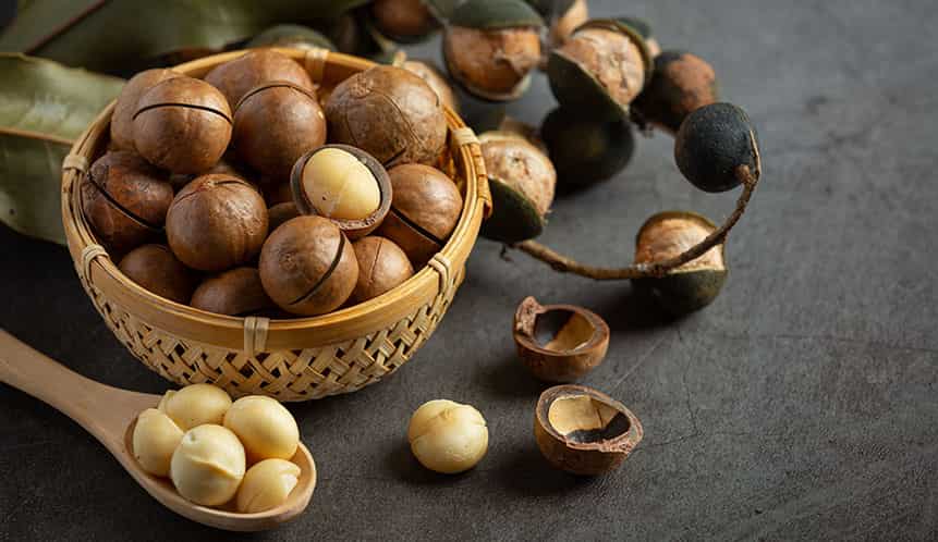 Macadamia Nuts: The Queen of Healthy and Premium Nuts