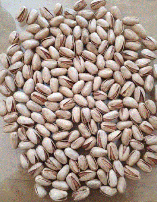 Pistachio